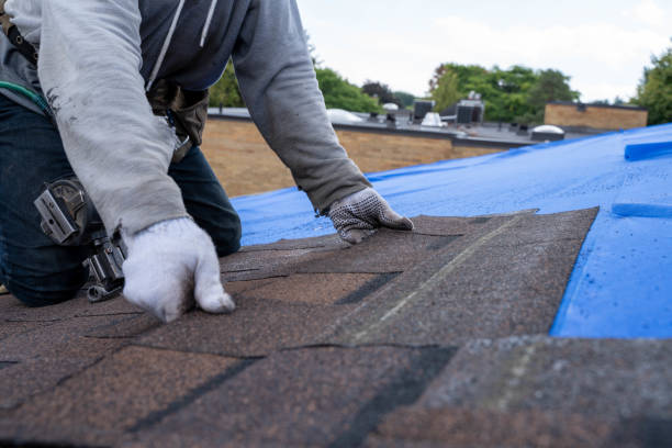 Best Commercial Roof Installation  in Glendive, MT