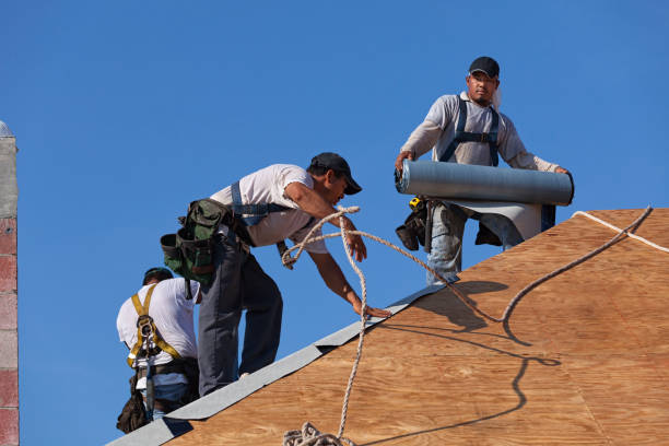 Professional Roofing Contractor in Glendive, MT