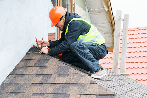 Best Local Roofing Companies  in Glendive, MT